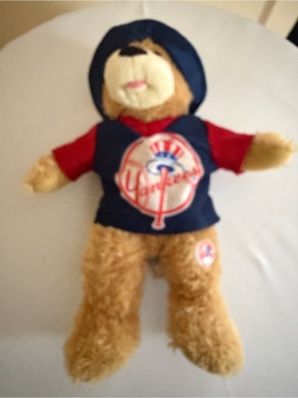 Plush Teddy Bear in Navy Hoodie and Red Shirt
